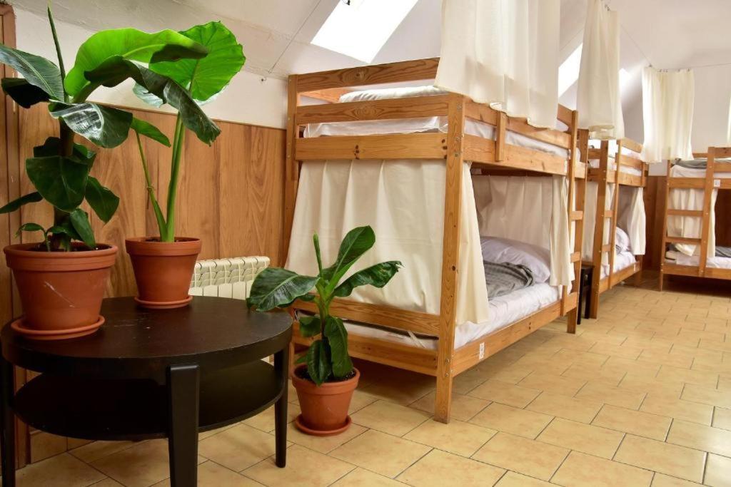 Mimosa Rooms Poznaň Exteriér fotografie